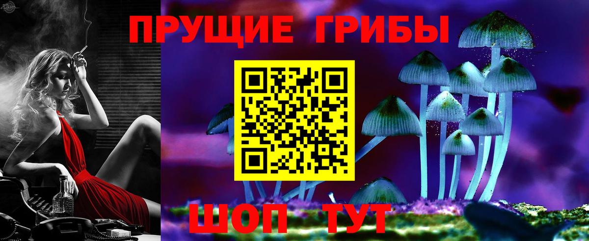 Лысьва  Псилоцибиновые грибы мицелий  Вход с VPN 